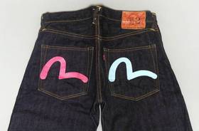 EVIS 2000 No2 カモメ